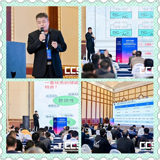 1642639903194272.jpg 储能大会 配图5.jpg