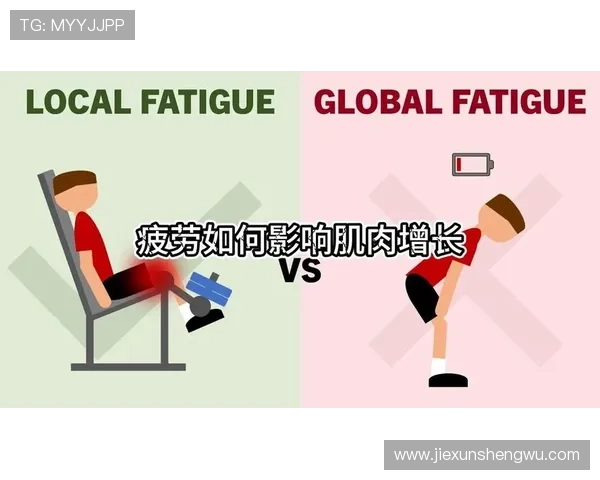 研究揭示阿什拉夫肌肉疲劳机制及对运动表现的潜在影响分析