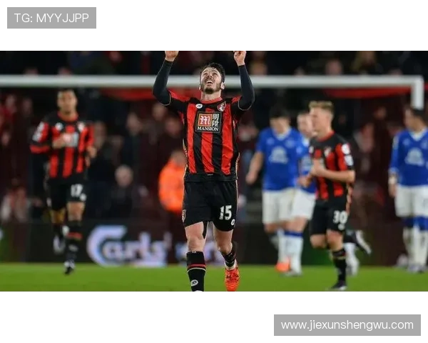 伯恩茅斯战术体系评价