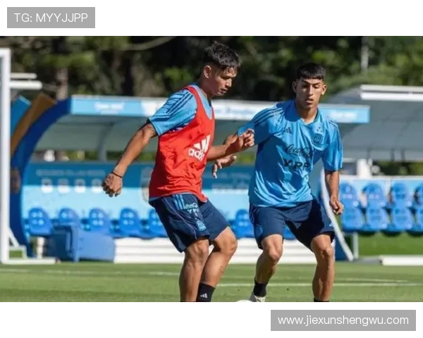 阿根廷队世界杯近期表现稳健,竞争力持续提升