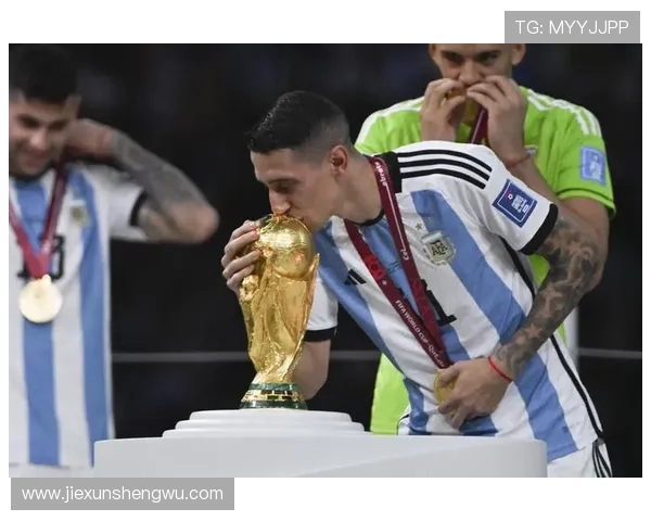 安赫尔·迪马利亚:英超短暂生涯解析