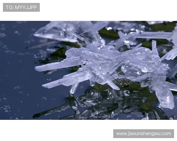 特雷·杨家的冰箱里只放蛋白粉和冰块？